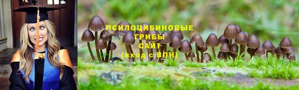 тгк Алексин